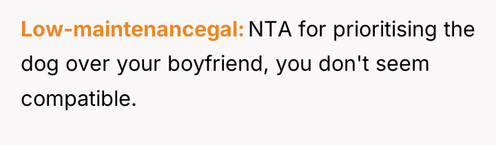 Low-maintenancegal NTA for prioritising the dog over your boyfriend, you...