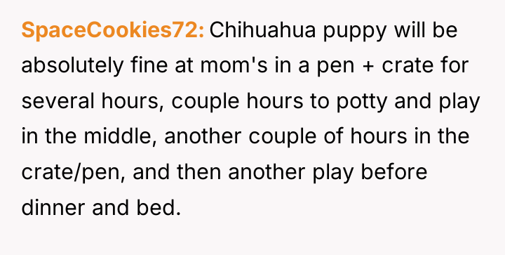 SpaceCookies72 Chihuahua puppy will be absolutely fine at mom's in...
