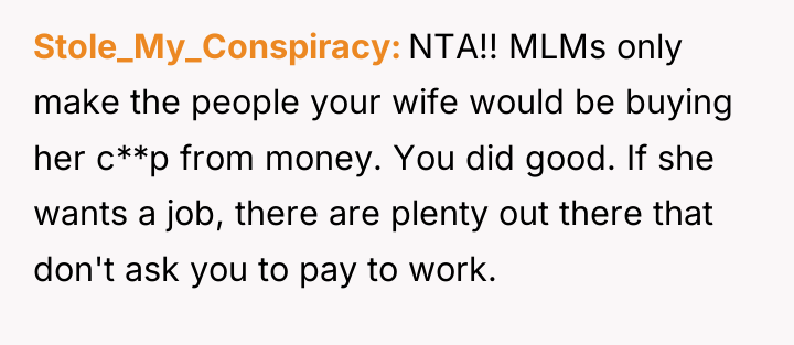 Stole_My_Conspiracy NTA!! MLMs only make the people your wife would...
