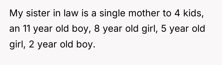 My sister in law is a single mother to 4...