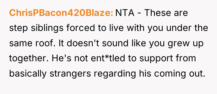 ChrisPBacon420Blaze NTA - These are step siblings forced to live...