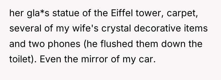her gla*s statue of the Eiffel tower, carpet, several of...