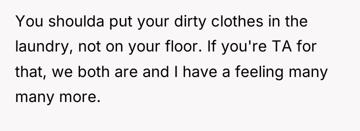 You shoulda put your dirty clothes in the laundry, not...