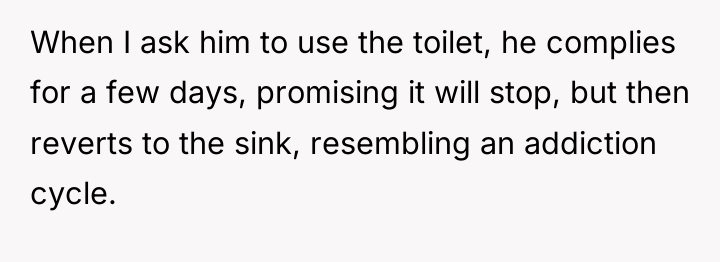 When I ask him to use the toilet, he complies...