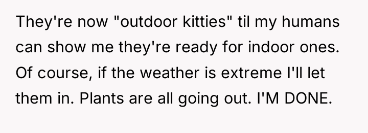They're now "outdoor kitties" til my humans can show me...