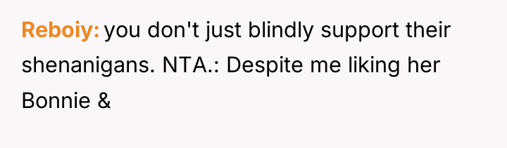 Reboiy you don't just blindly support their shenanigans. NTA.: Despite...