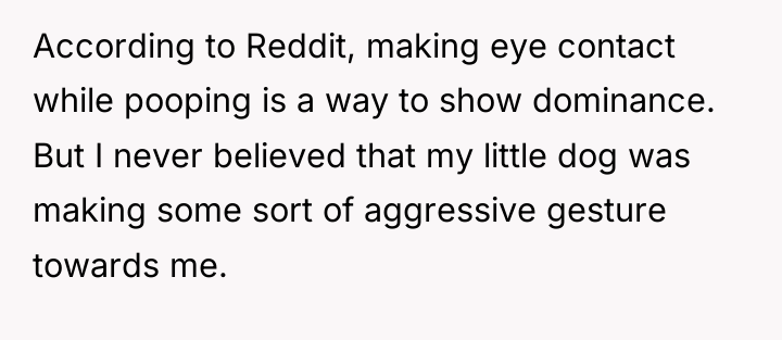 According to Reddit, making eye contact while pooping is a...
