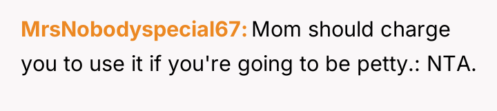MrsNobodyspecial67 Mom should charge you to use it if you're...