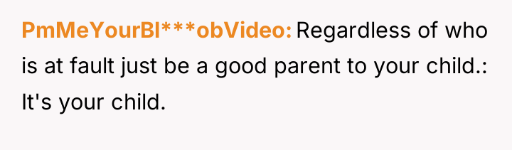 PmMeYourBl***obVideo Regardless of who is at fault just be a...