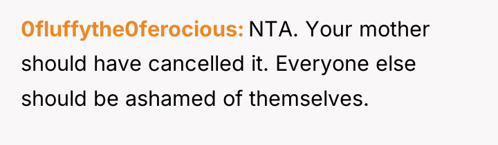 0fluffythe0ferocious NTA. Your mother should have cancelled it. Everyone else...