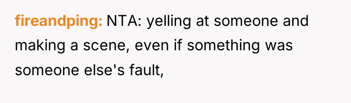 fireandping NTA: yelling at someone and making a scene, even...