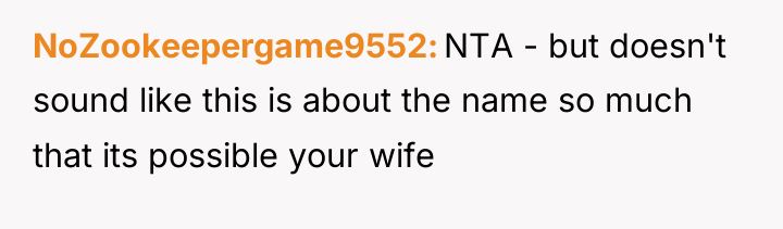NoZookeepergame9552 NTA - but doesn't sound like this is about...