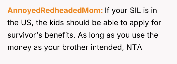AnnoyedRedheadedMom If your SIL is in the US, the kids...