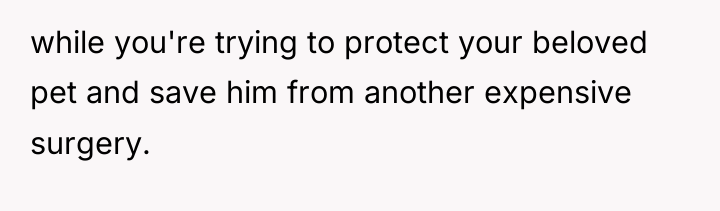 while you're trying to protect your beloved pet and save...