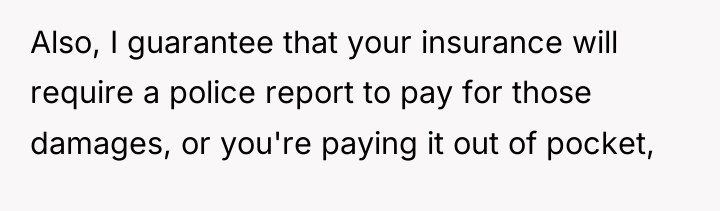 Also, I guarantee that your insurance will require a police...