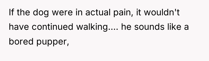 If the dog were in actual pain, it wouldn't have...