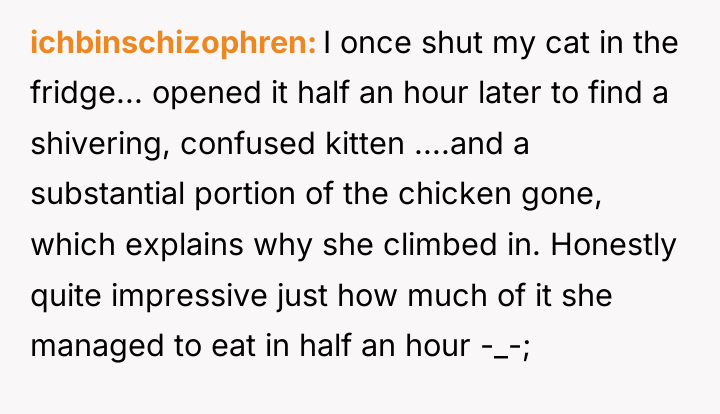 ichbinschizophren I once shut my cat in the fridge... opened...