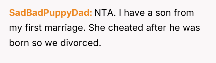 SadBadPuppyDad NTA. I have a son from my first marriage....