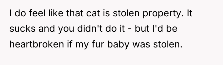 I do feel like that cat is stolen property. It...