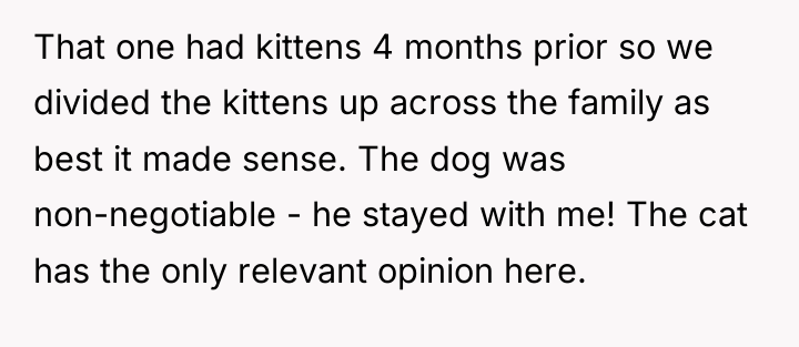 That one had kittens 4 months prior so we divided...