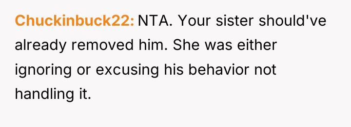 Chuckinbuck22 NTA. Your sister should've already removed him. She was...