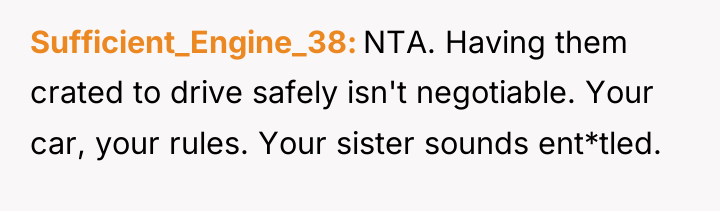 Sufficient_Engine_38 NTA. Having them crated to drive safely isn't negotiable....