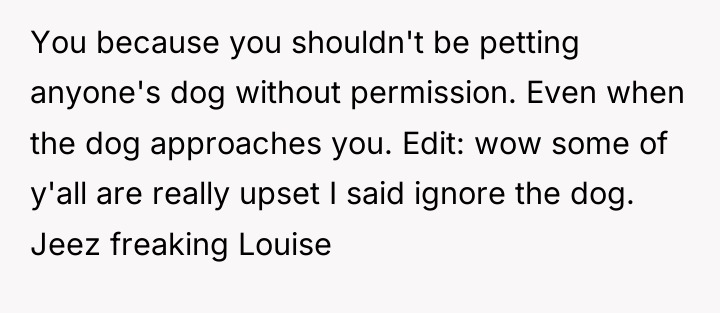 You because you shouldn't be petting anyone's dog without permission....