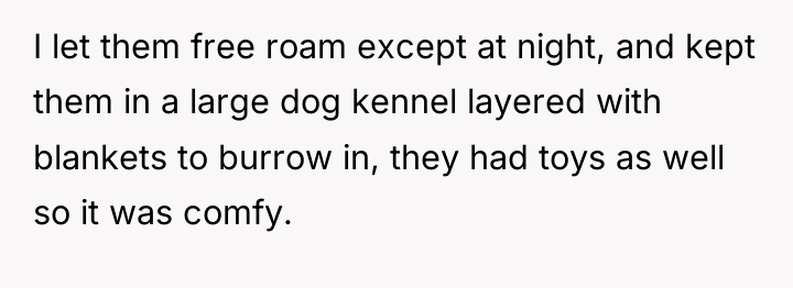 I let them free roam except at night, and kept...