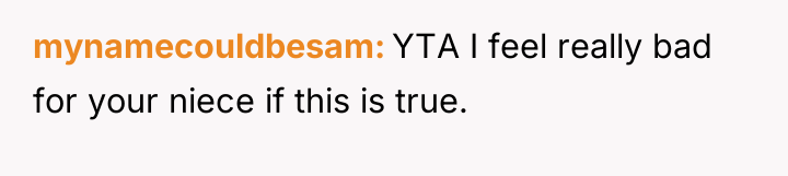 mynamecouldbesam YTA I feel really bad for your niece if...