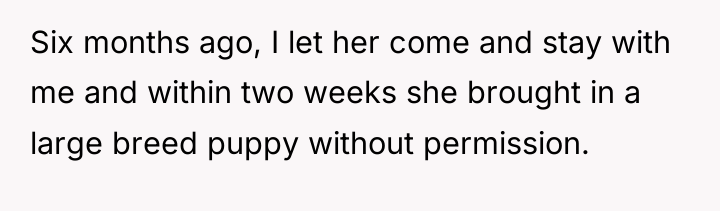 Six months ago, I let her come and stay with...