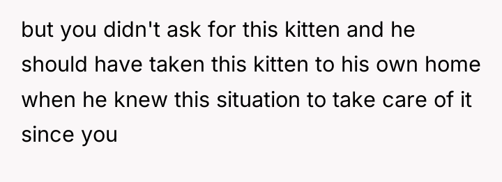 but you didn't ask for this kitten and he should...