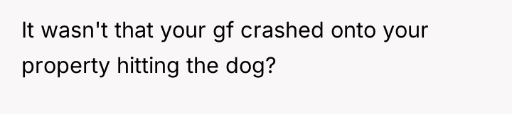 It wasn't that your gf crashed onto your property hitting...
