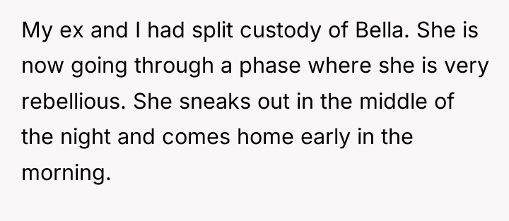 My ex and I had split custody of Bella. She...