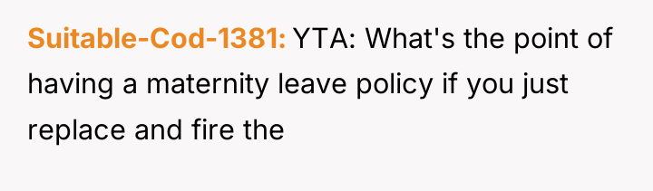 Suitable-Cod-1381 YTA: What's the point of having a maternity leave...