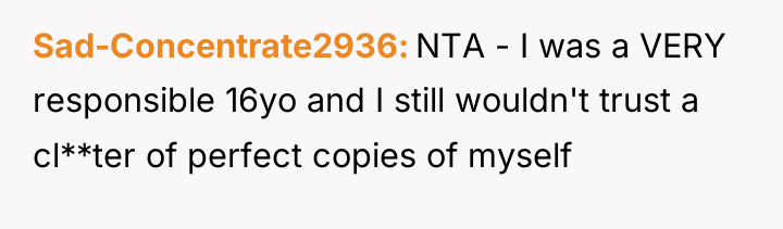 Sad-Concentrate2936 NTA - I was a VERY responsible 16yo and...