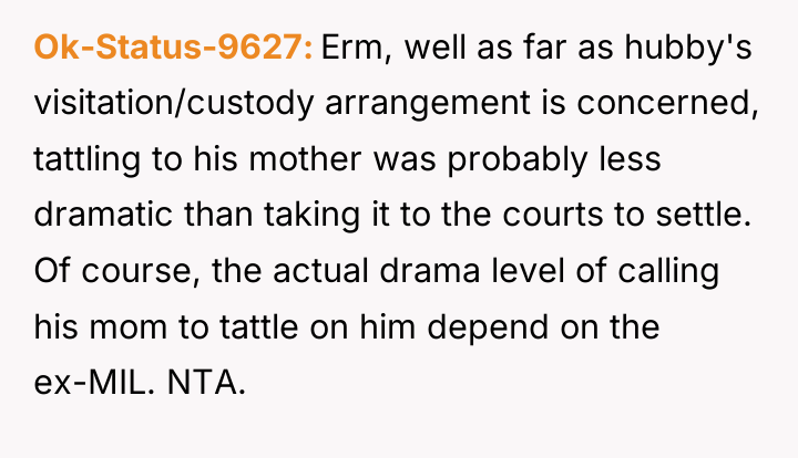 Ok-Status-9627 Erm, well as far as hubby's visitation/custody arrangement is...