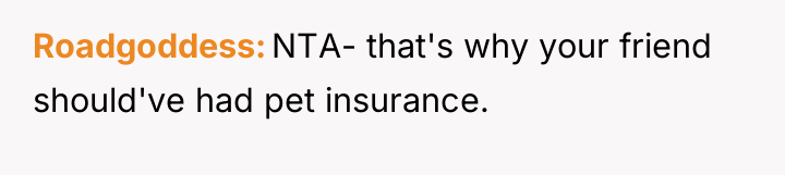 Roadgoddess NTA- that's why your friend should've had pet insurance.