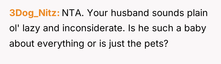 3Dog_Nitz NTA. Your husband sounds plain ol' lazy and inconsiderate....