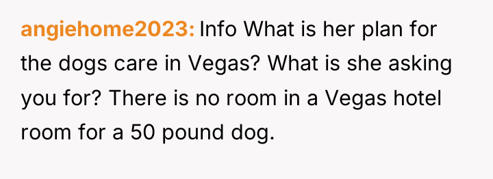 angiehome2023 Info What is her plan for the dogs care...