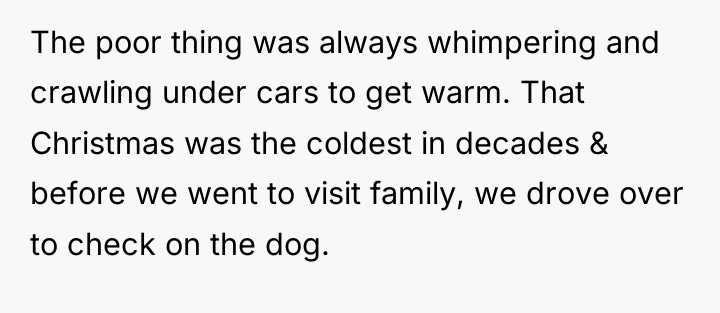 The poor thing was always whimpering and crawling under cars...