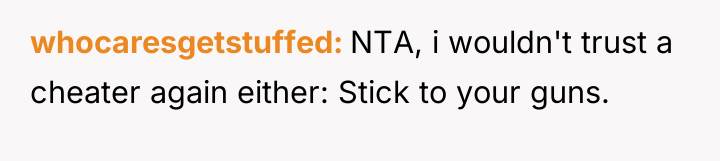 whocaresgetstuffed NTA, i wouldn't trust a cheater again either: Stick...