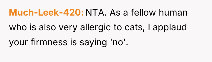 Much-Leek-420 NTA. As a fellow human who is also very...