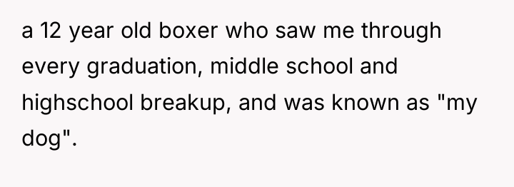a 12 year old boxer who saw me through every...