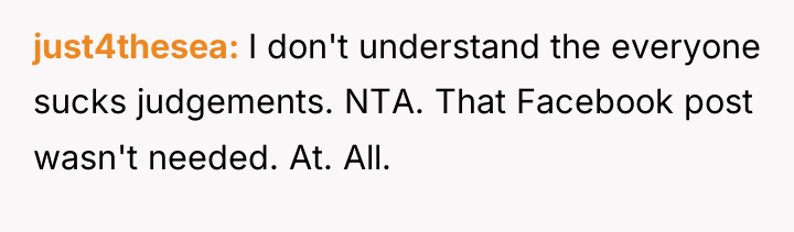 just4thesea I don't understand the everyone sucks judgements. NTA. That...