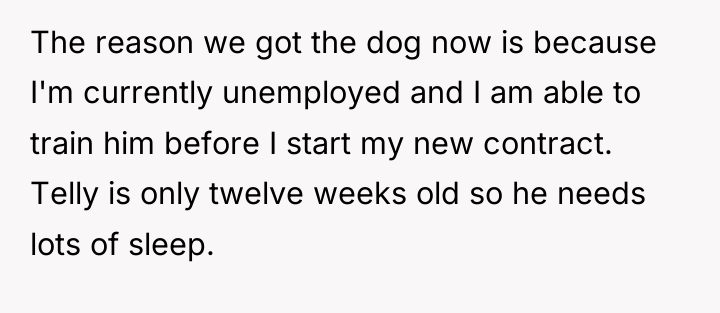 The reason we got the dog now is because I'm...