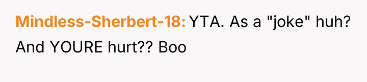 Mindless-Sherbert-18 YTA. As a "joke" huh? And YOURE hurt?? Boo