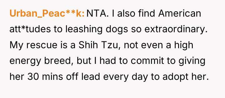 Urban_Peac**k NTA. I also find American att*tudes to leashing dogs...