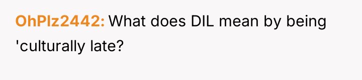 OhPlz2442 What does DIL mean by being 'culturally late?