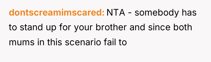 dontscreamimscared NTA - somebody has to stand up for your...