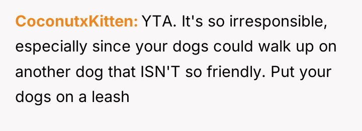 CoconutxKitten YTA. It's so irresponsible, especially since your dogs could...